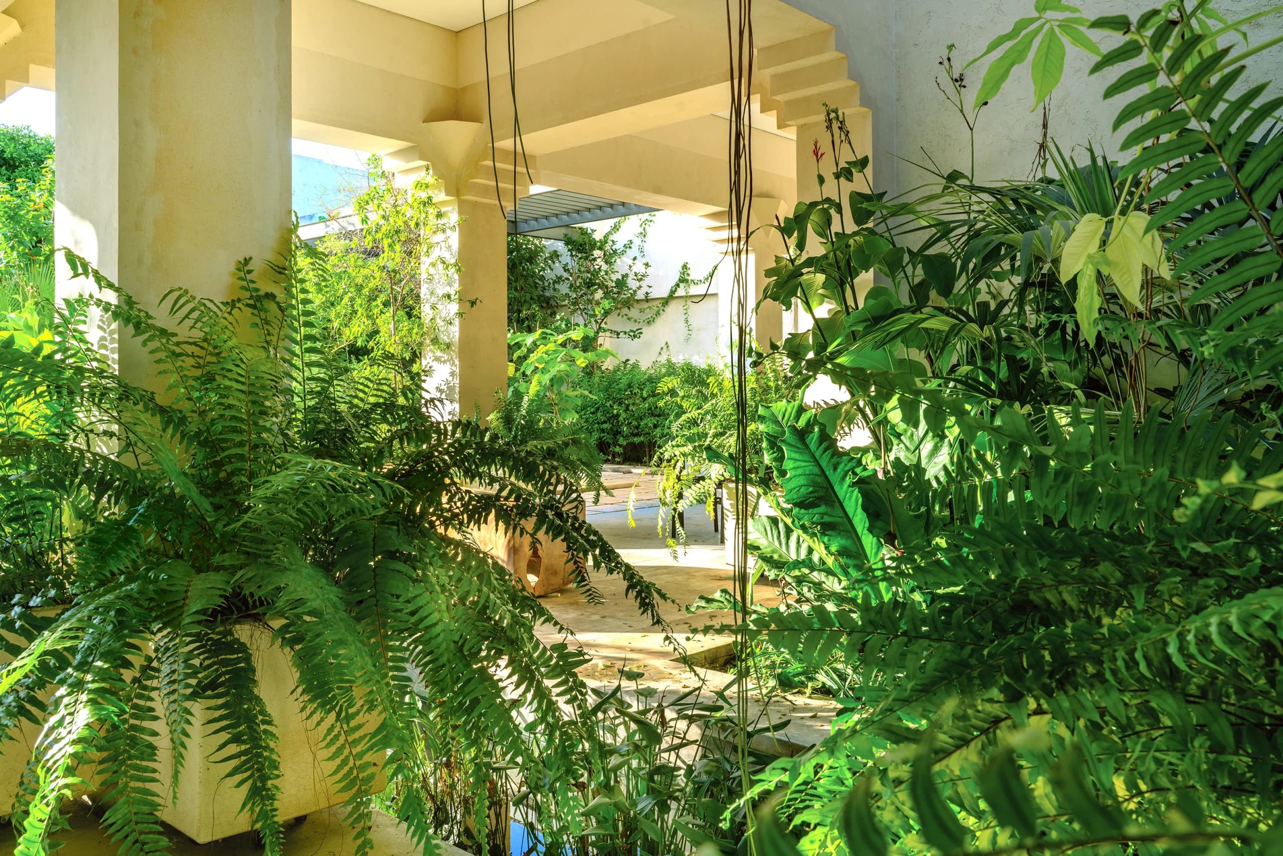 Garden